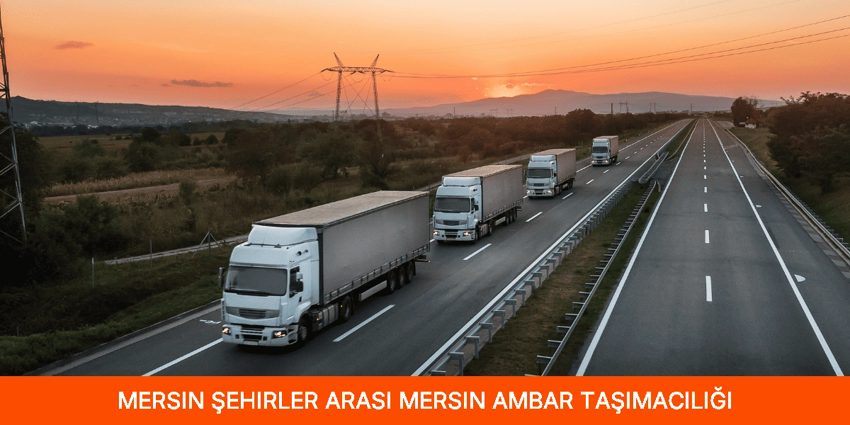 Şehirler Arası Mersin Ambar Taşımacılığı